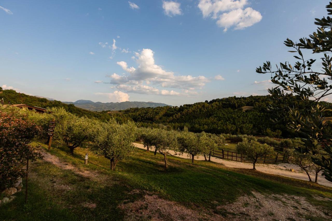 Agriturismo AgrileisureTime Spoleto Esterno foto