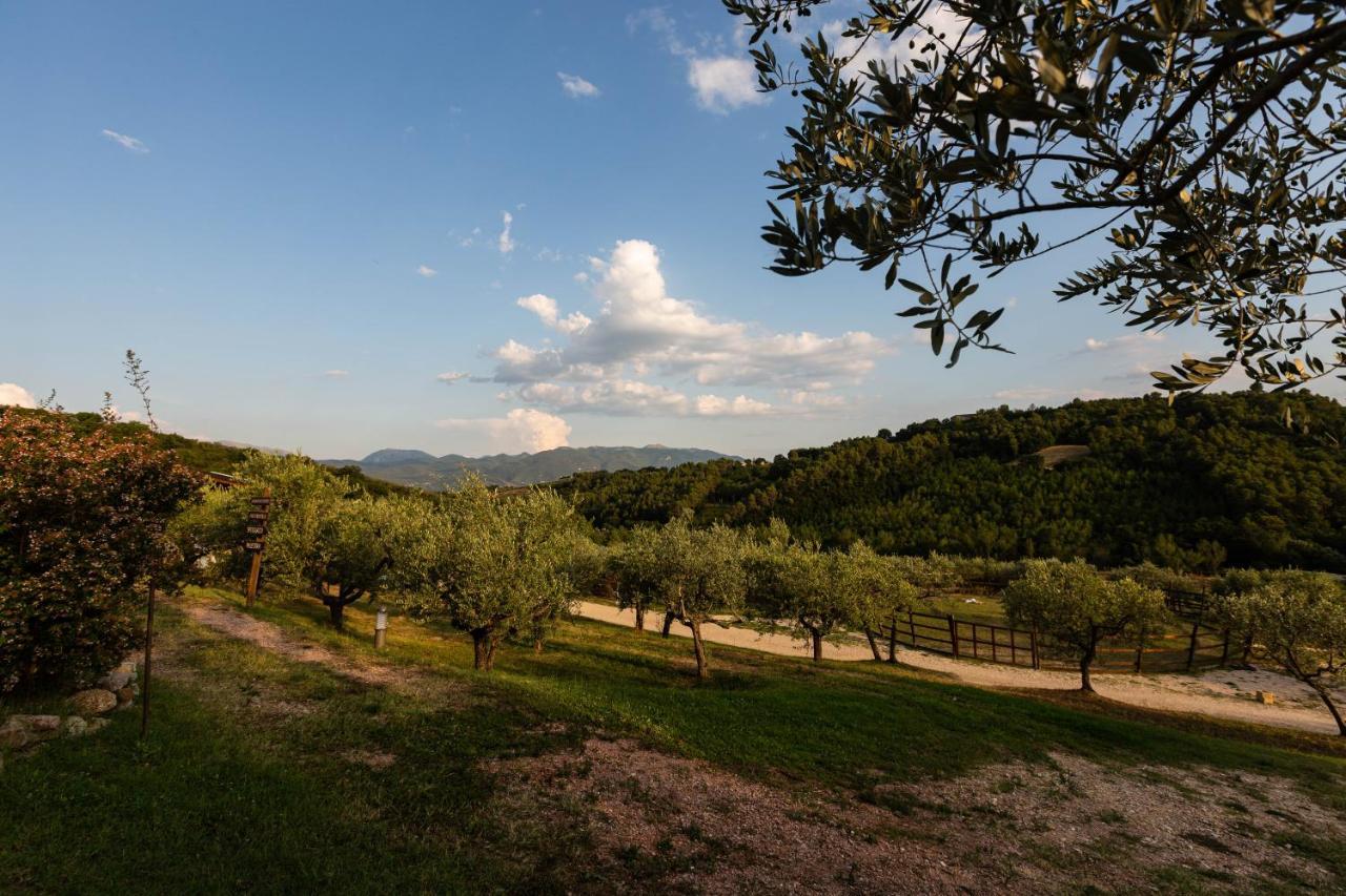 Agriturismo AgrileisureTime Spoleto Esterno foto