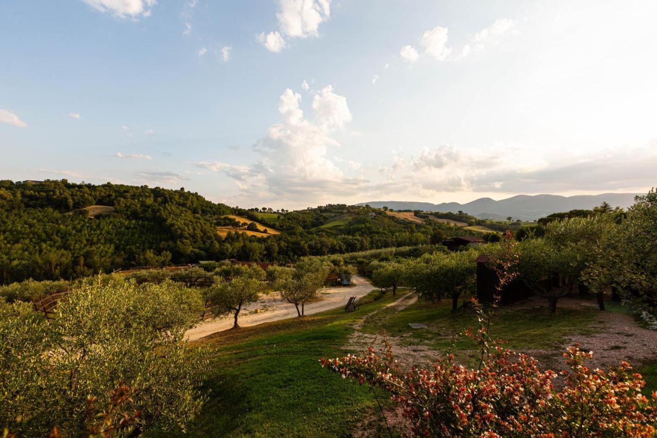 Agriturismo AgrileisureTime Spoleto Esterno foto