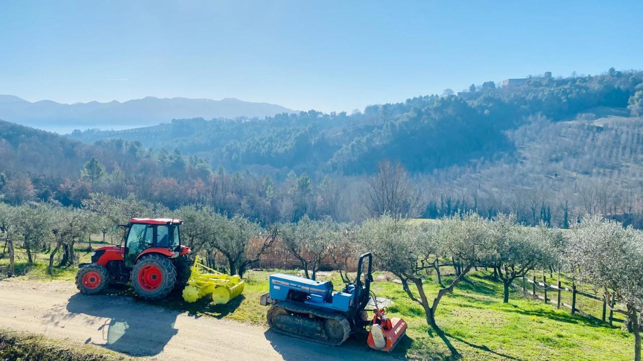 Agriturismo AgrileisureTime Spoleto Esterno foto